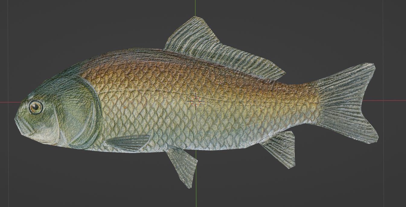 fishyInBlender