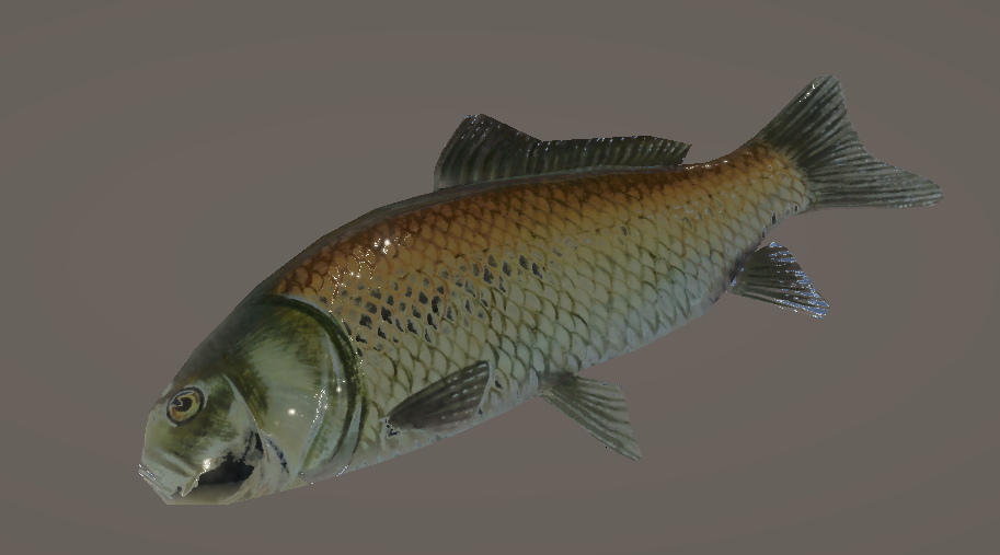 fishyInUnity